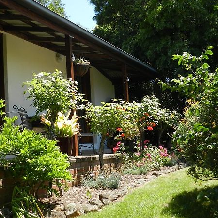 Wagners Cottages Swansea Zewnętrze zdjęcie